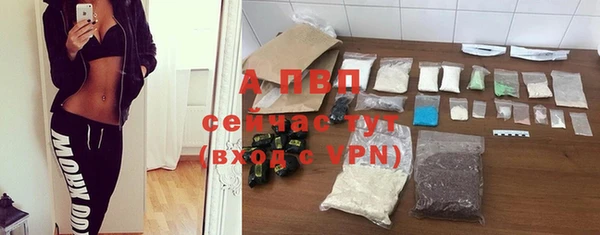 ALPHA PVP Бородино