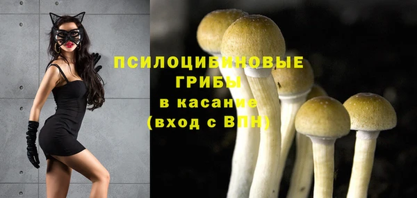 ALPHA PVP Бородино