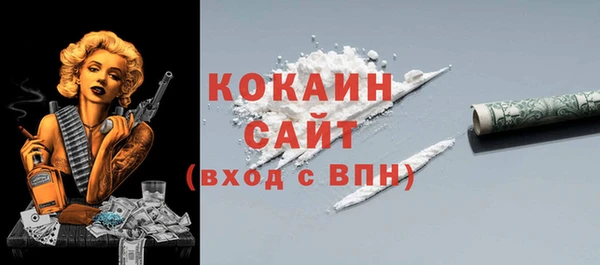 крисы Бронницы