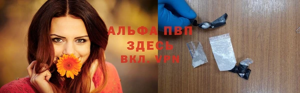 крисы Бронницы