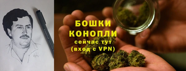 крисы Бронницы