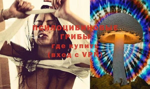 крисы Бронницы